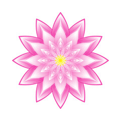 Lotus flower pink on white background.