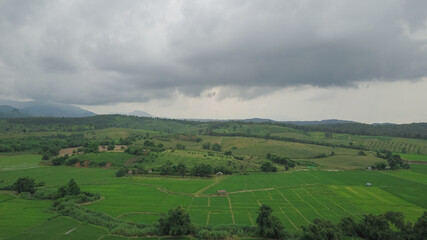 Obraz premium Top view of rice field land scape photo by drone