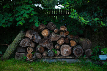 A lot of wood and logs in the backyard of a house in village
