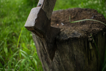 axe and stump
