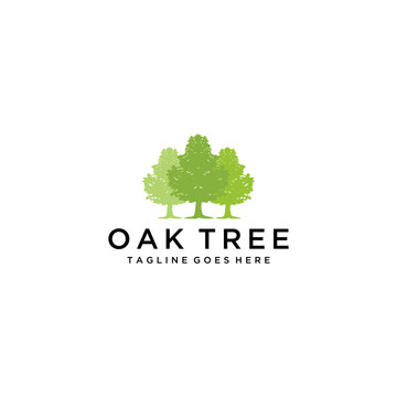 Illustration silhouette Tree Oak forest vintage logo design vintage vector 