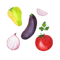 Set of fresh vegetables. Eggplant, bell pepper, onion, tomato, parsley. Hand drawn watercolor illustration.