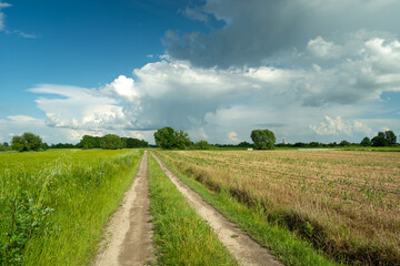 Long country road through fields and clouds on blue sky