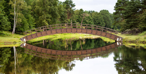 Elegantly curved pedestrian bridge over a canal in a Natura 2000 reserve of the Amsterdam Drinking Water company near Zandvoort