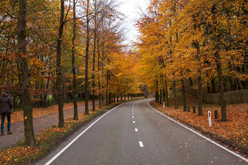 Autumn colors along a rural road near Overveen, Netherlands
