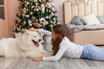 Fototapeta premium Christmas Child girl with dog Samoyed. New Year at home