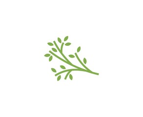 Branch logo
