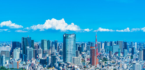 東京都市景観 ~ Tokyo cityscape, a view of Tokyo's skyscrapers from Shibuya ~