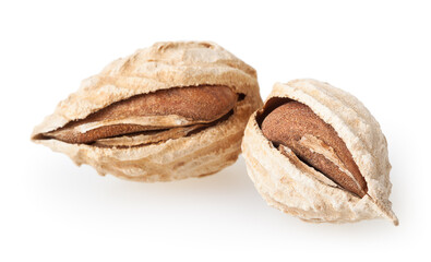 Two almonds isolated on white background with clipping path