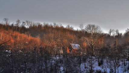 autumn forrest cottage