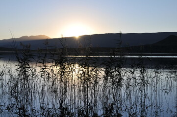 Obraz premium Sun Burst