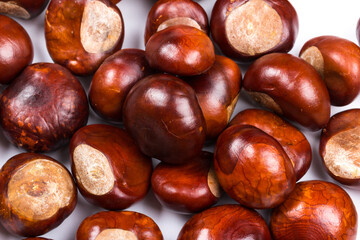 Autumn - Fresh chestnut fruits, Castanea, Horse-chestnut (Aesculus hippocastanum), close up