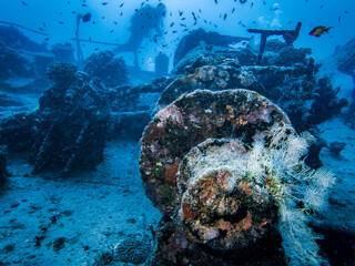 Iron lifting mechanism covered with corals on a sunken ship against the blurred silhouette of a...