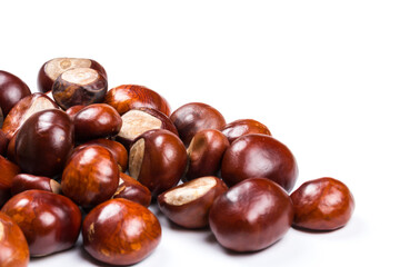 Autumn - Fresh chestnut fruits, Castanea, Horse-chestnut (Aesculus hippocastanum), close up