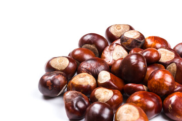 Autumn - Fresh chestnut fruits, Castanea, Horse-chestnut (Aesculus hippocastanum), close up