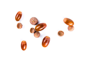 Ripe acorns isolated on  white background, close-up