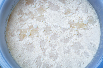 Fermented liquid fertilizer, Organic liquid fertilizer in bucket.