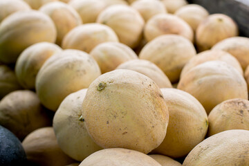 Pile of cantaloupes