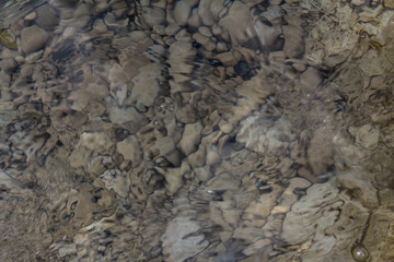 Sea stones in the sea water. Pebbles under water. The view from the top. Nautical background. Clean sea water. Transparent sea.