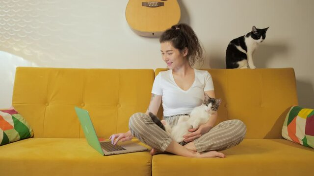 Young pretty girl doing online shopping on laptop at home. Buying cat's food in internet. Female cat lover freelance at quarantine. Child free woman having fun with her pets.