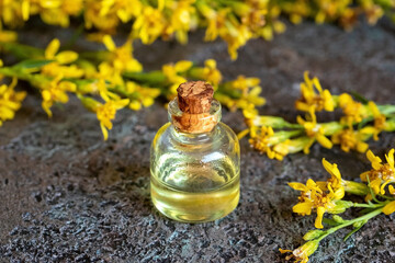 Obraz na płótnie Canvas A bottle of essential oil with European goldenrod twigs