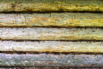 Naklejka premium A wooden wall of untreated unpainted logs. Can be used as a background