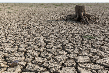 Cracked clay soil bottom of a dried up reservoir environmental problem drought dehydration