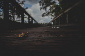 Leaf on Bridge near lake in fall 2