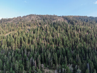 Aerial view of scenic mountains before vibrant sunset in Stanislaus National Forest, California, United States of America. 