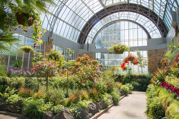 View of several type of plants growing in Auckland domain garden, the Auckland's oldest park.