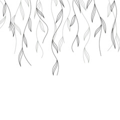 Willow branches with leaves on white background; ornate border element; upper branches of tree