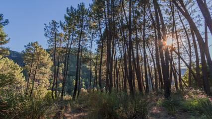 Sierra de Cazorla National park