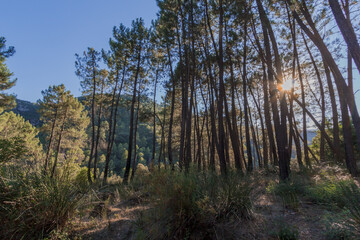 Sierra de Cazorla National park