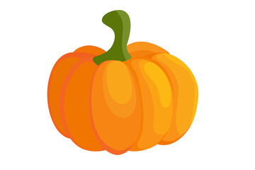 Orange pumpkin vector illustration. Pumpkin colorful icon