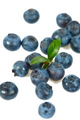 fresh blueberries isolated on white background