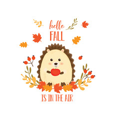 riccio carino dell autunno