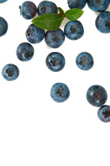 fresh blueberries isolated on white background