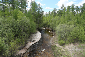 mountain river in the forest