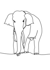 drawing line, elephant was walking looking for something. Vector illustration
