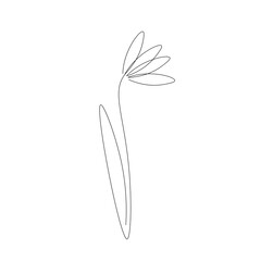 Flower on white background, vector illustration