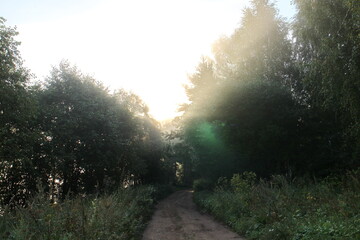 View of a rural foggy road at sunrise in summer