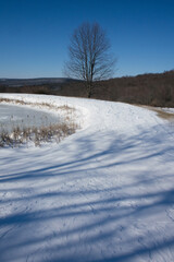 Fototapeta na wymiar Snowy landscape with trees