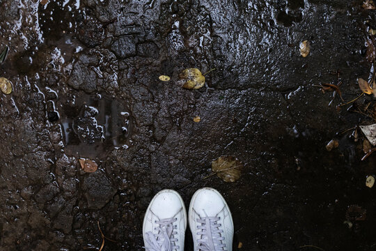 woman with umbrella in white sneakers is reflected in a puddle, raindrops on the asphalt and wet leaves
