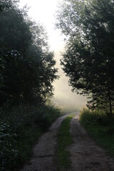 View of a rural foggy road at sunrise in summer