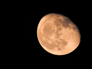 Big and pink moon in waning gibbous phase in black background