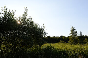Obraz premium An der Holzurburg bei Bad Bederkesa