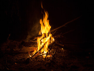 Campfire fire in the night