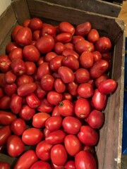 red tomatoes in a box