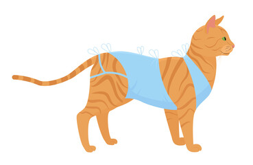 cat bandage after surgery vector illustration. cartoon ginger tabby cat in bandage after neutering isolated on white. pet spay concept