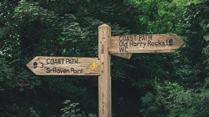wooden signpost in the woods, Old Harry Rocks, St Haven Point, faded, Dorset, England, Europe